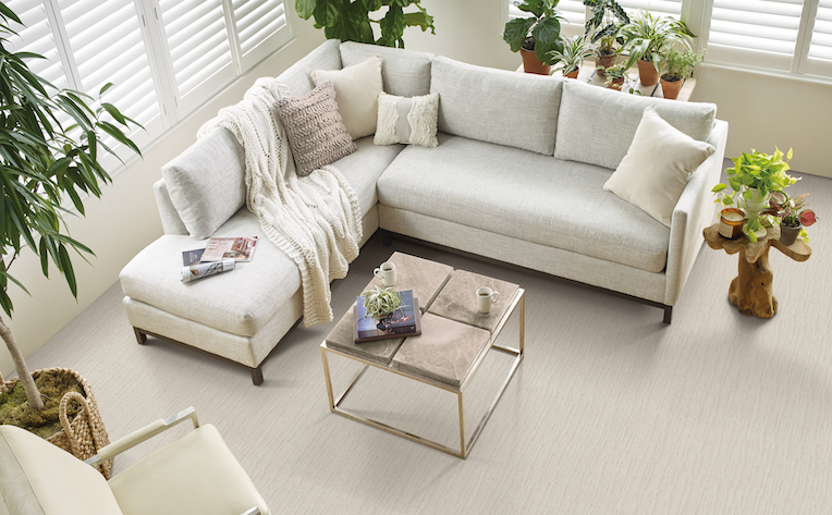soft carpet in a bright and airy living room